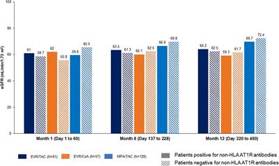 Impact of everolimus plus calcineurin inhibitor on formation of non-HLA antibodies and graft outcomes in kidney transplant recipients: 12-month results from the ATHENA substudy